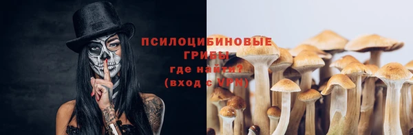 PSILOCYBIN Волоколамск