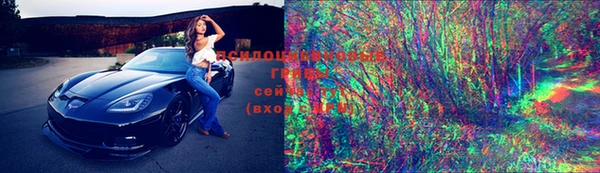 PSILOCYBIN Волоколамск