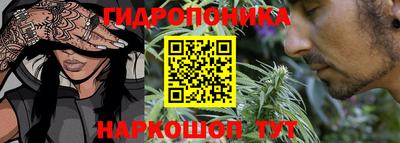 прущие грибы Нальчик