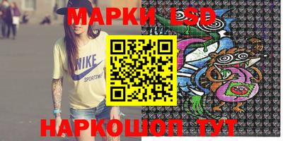 прущие грибы Нальчик