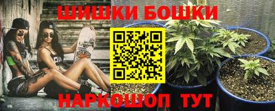 прущие грибы Нальчик