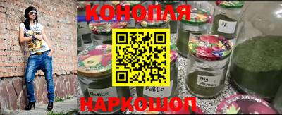 прущие грибы Нальчик