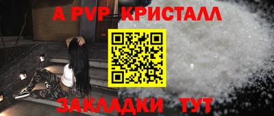 прущие грибы Нальчик