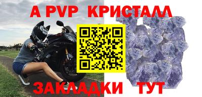 прущие грибы Нальчик