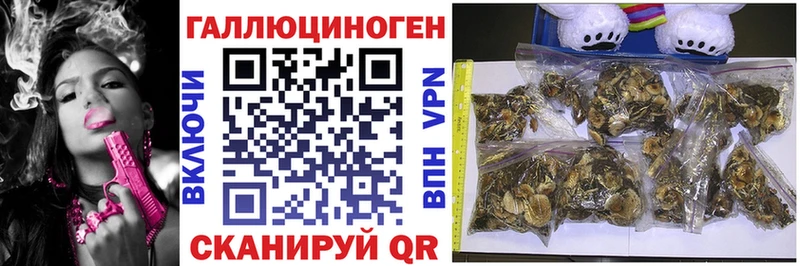 Псилоцибиновые грибы Psilocybine cubensis  ссылка на мегу ТОР  Ноябрьск  даркнет сайт 